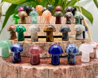 10PC Mini Natural Crystal Mushroom，Quartz Crystal，Mini mushroom，Crystal Healing stone Decoration，crystal pendant （Random delivery）