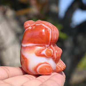 2&#39;&#39; Natural Red Agate guinea pig，Crystal Guinea pig carved，Quartz crystal，Crystal figurine，Home decor，Crystal present，Crystal Healing 1PC