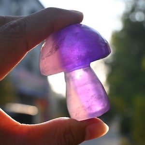 2&#39;&#39; Natural carved Purple fluorite mushroom/Quartz Crystal/crystal Mushroom/crystal Healing stone/crystalDecoration 1PC