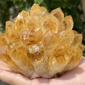 300g+ Crystal cluster，Yellow quartz Cluster Crystal，Citrine cluster Point VUG，Mineral Specimen Healing Degaussing Decor Collection 1PC
