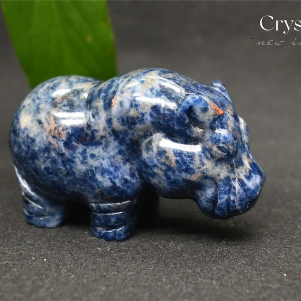 Crâne d'hippopotame Sodalite 3.1 '', animal en cristal, crâne naturel sculpté à la main, cristal de Quartz, cadeau de vacances, ornement en cristal, guérison du cristal 1PC