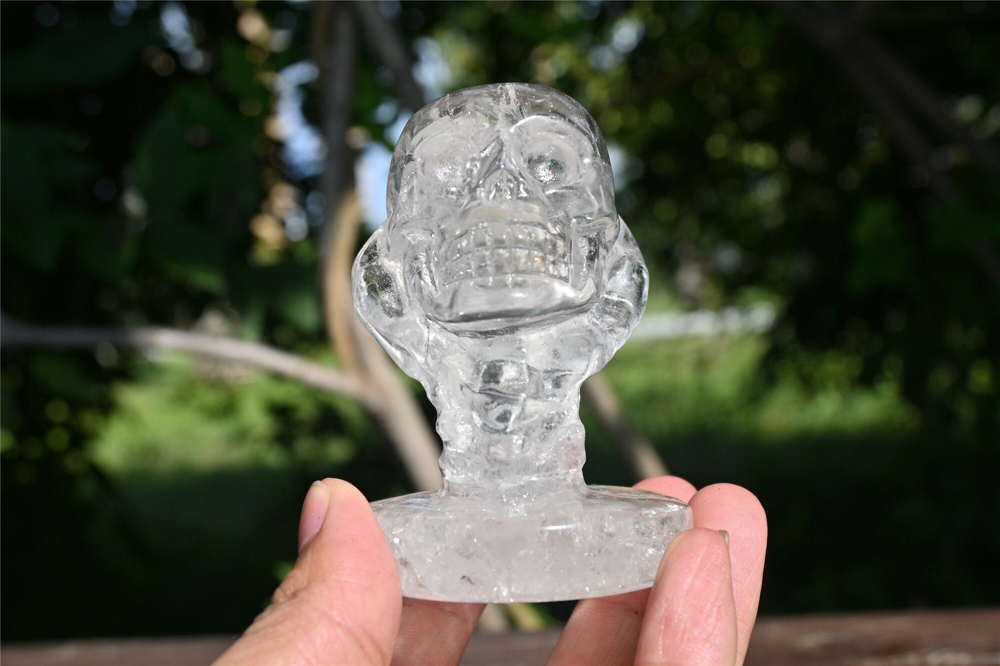 3'' Natural Clear quartz Eagle Claw skull，Crystal skull carved，Skull carved，Crystal gift，Quartz Crystal，Crystal statue，Crystal Healing 1pc
