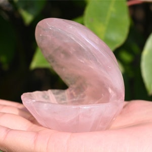 2.4&#39;&#39; Natural Hand Carved Rose quartz seashell，Crystal seashell，Quartz Crystal，Crystal ornament，crystal carved，Crystal Healing