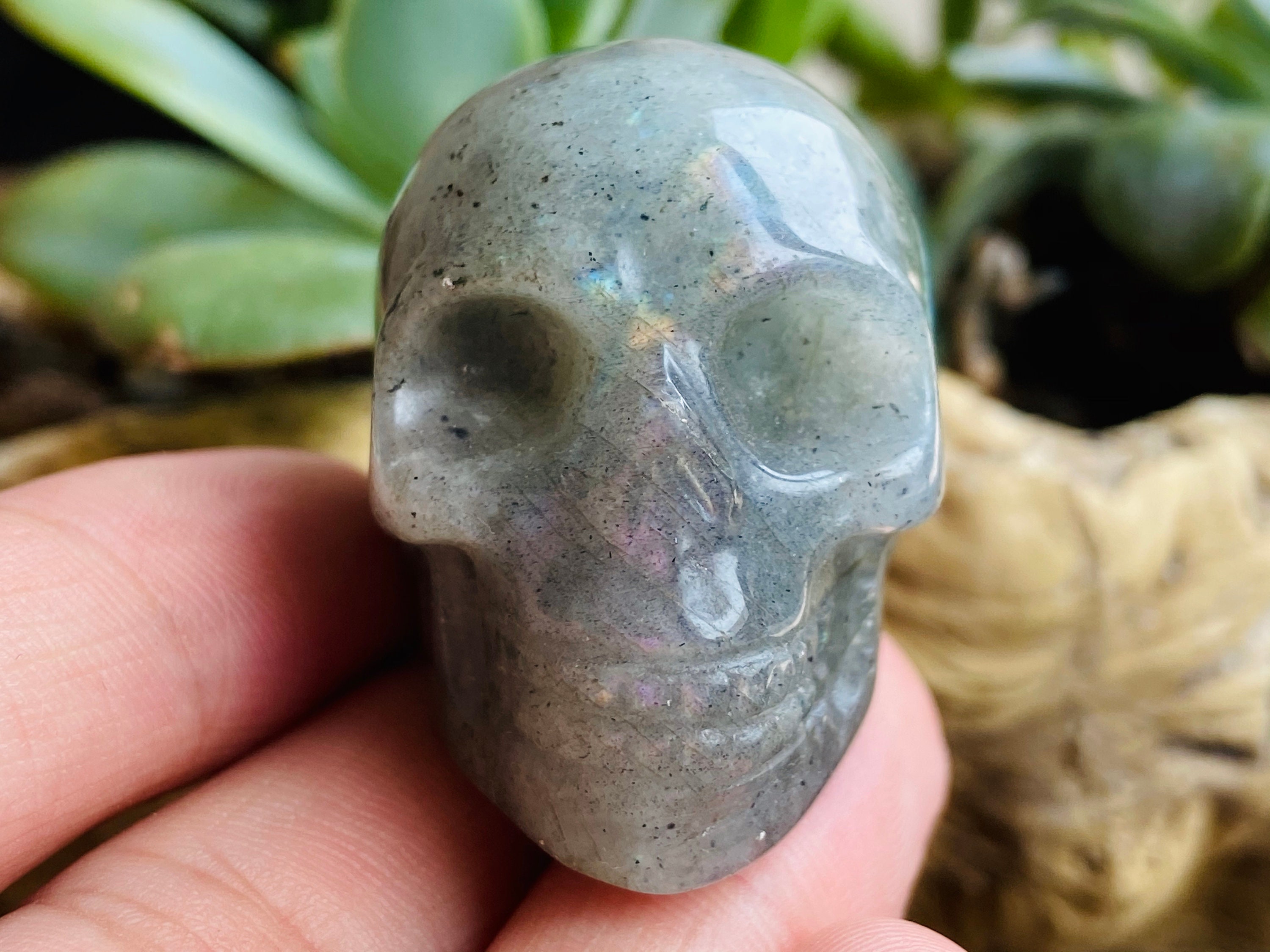 Natural Labradorite Hand Carved roses Skull Quartz Crystal Healing 1pc 