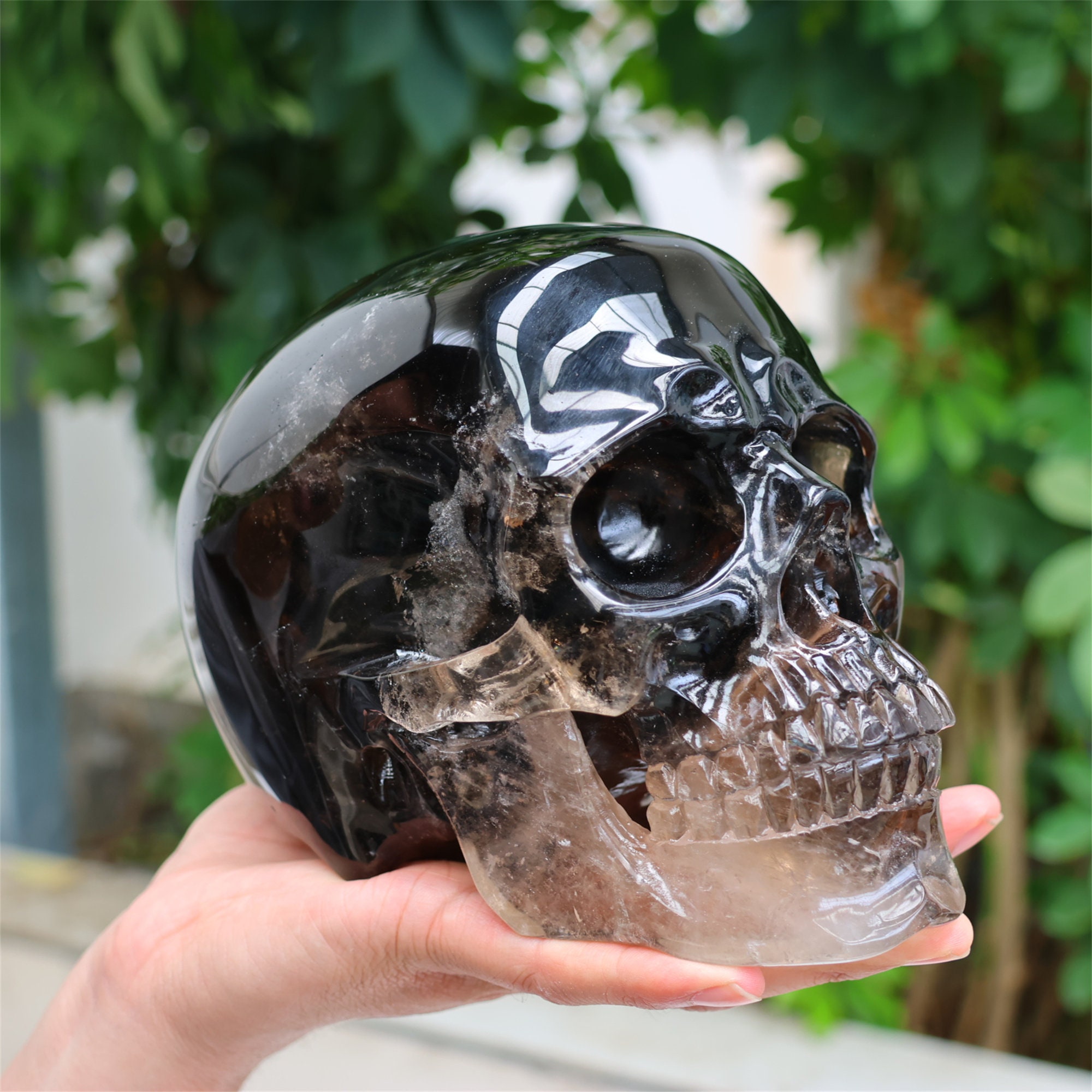 THE SKULL DISK NATURE TONES × DAMNGOOD DISK TONES SKULL NATURE THE DAMNGOOD ×