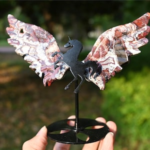 0.35LB Natural Mexico agate Unicorn wings，Pegasus wing，Quartz crystal，Crystal Wing，Crystal unicorn，Reiki Healing + stand WK437-K