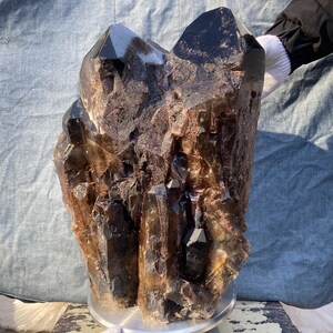 69LB Huge Smokey Quartz Crystal Tower: Raw Cluster Point