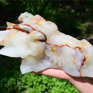 9.6&#39;&#39; Natural Hand Carved Onyx Vetro dragon skull，crystal skull，Afghan jade dragon，Quartz crystal gift，Crystal ornament，crystal healing 1PC