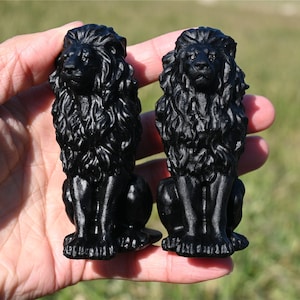 3.2&#39;&#39; Carved Obsidian Lion，Crystal gift，Crystal Lion，Crystal decor，Quartz Crystal，Crystal ornament，Crystal Healing 1PC