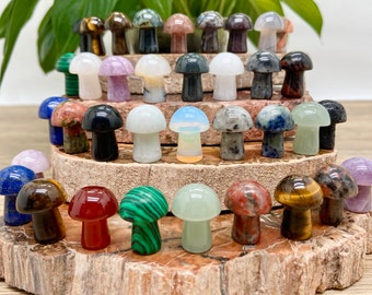 Special offer！Natural crystal mushroom/Mini mushroom/Small mushroom/Mushroom pendant/Mushroom carved/Mushroom necklace/crystal healing
