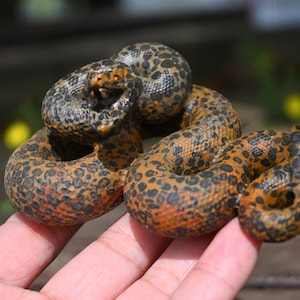 Handmade Leopard Stone Carved Snake: Quartz Crystal Figurine (3.7&quot;)