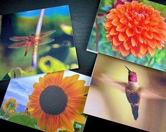 PNW Nature Photography Greeting Cards | Set of 4 | Blank Stationery