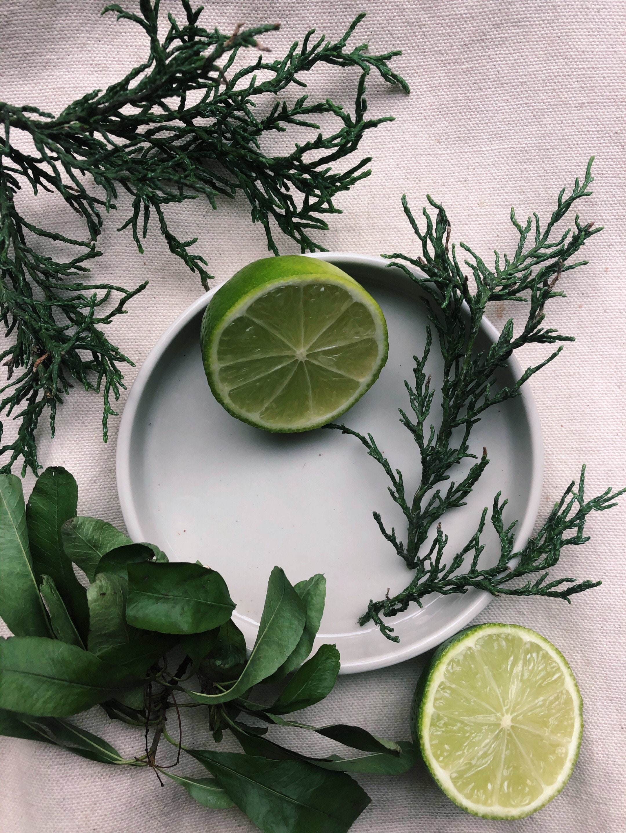 Mountain Air Candle 100 Natural Essential Oil Candle Etsy