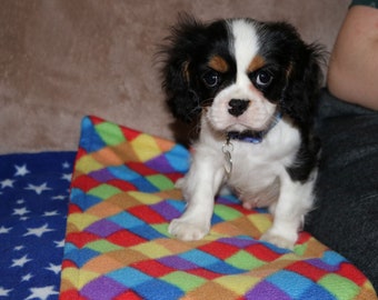 handmade reusable puppy pads/lap blankets