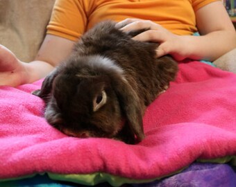 Handmade small animal/puppy lap/pee pads