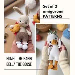 Paquete de 2 patrones de amigurumi a crochet - PDF | Paquete de patrones de crochet