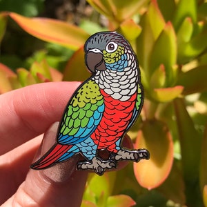 May include: A colourful enamel pin of a parrot with green, blue, red and white feathers. The parrot is facing left and has a black beak.