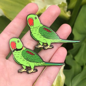Alexandrine parrot toys cheap
