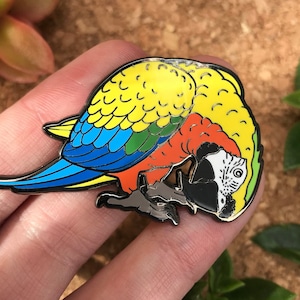 Comet The Camelot Macaw Hard Enamel Pin | Lapel Pin | Bird Pin | Macaw | Macaw Pin | BirdTricks