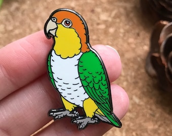 Widget the White-Beellied Caique - Gefiederte Freunde Hard Emaille Pin | Anstecknadel | Vogel Pin | Cabochon | Papagei Pin | VogelTricks | Charity Pin