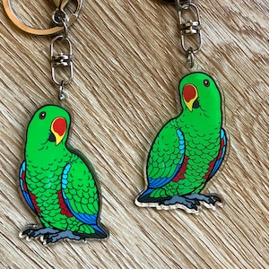 Eclectus Keychain | 100% Recycled Acrylic | Male and Female | parrot | keyring | charm | ornament