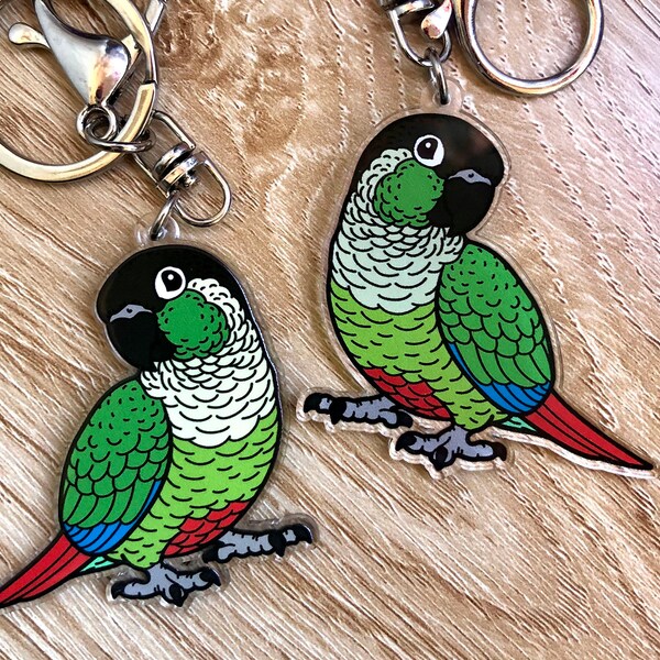Conure Parrot Etsy