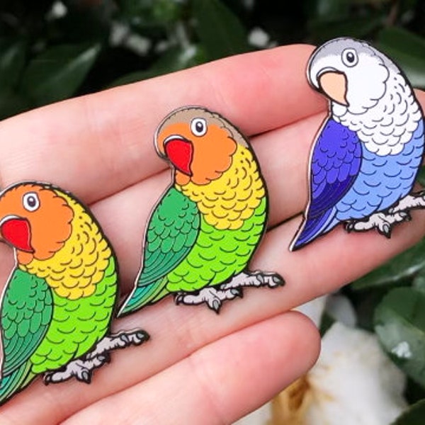 Fischer's Lovebird - Feathered Friends Hard Enamel Pin | Lapel Pin | Bird Pin | Fischers | Parrot Pin | Love bird