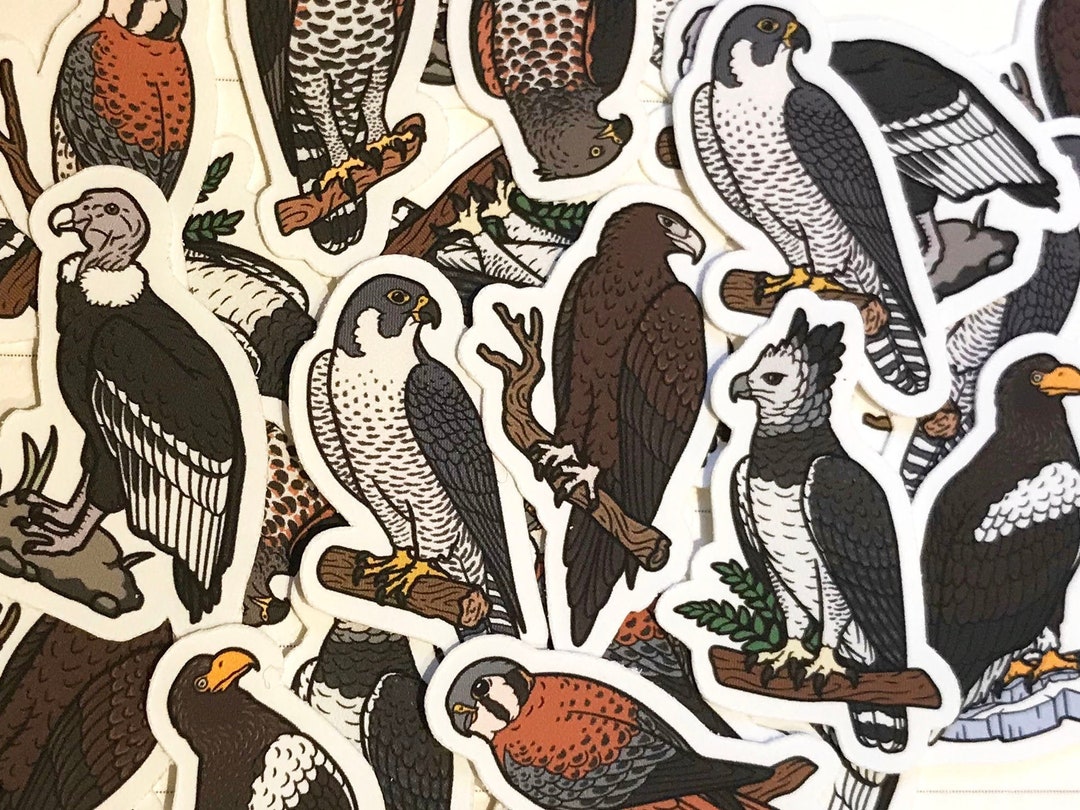 20 Mini Birds of Prey Stickers Journal Stickers Planner Stickers Vinyl ...