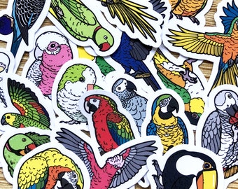 20 Mixed BirdTricks Stickers | Journal Stickers | Planner Stickers | Vinyl Waterproof