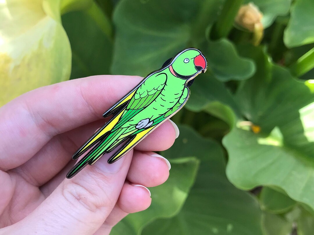 Touché the Indian Ringneck Hard Enamel Pin | Lapel Pin | Bird Pin ...