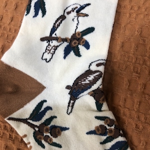 May include: White socks with a brown heel and toe. The socks feature a repeating pattern of kookaburras, native Australian birds, perched on branches with gum nuts.