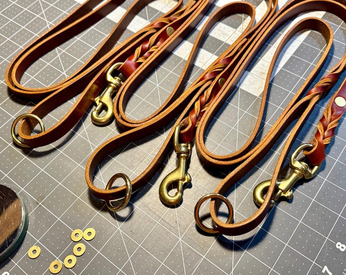 Braided Leather Dog Leash