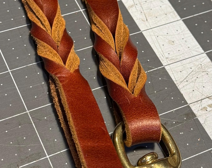 Braided Leather Dog Leash