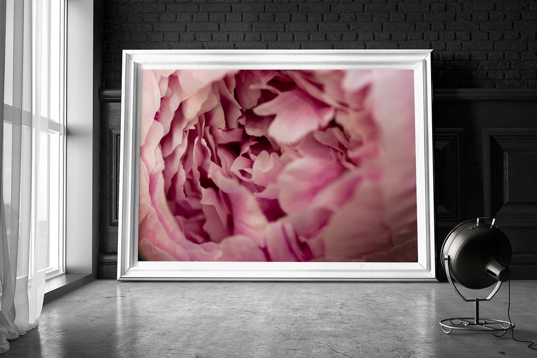 Pink Peony Flower Print, Botanical Poster, Nature, Macro Photography ...