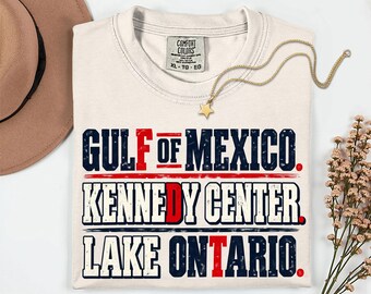 Lake Ontario FDT Comfort Colors shirt,Subtle Political tshirt