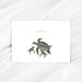 see more listings in the Cartes de naissance/jumeaux section
