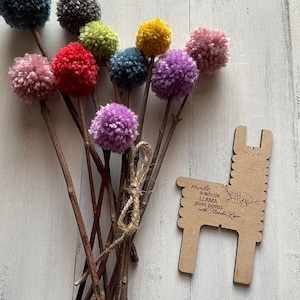 May include: A collection of colorful pom-poms on wooden sticks, in shades of blue, gray, green, yellow, red, pink, and purple. A wooden llama-shaped craft tool is next to the pom-poms. The text on the tool reads "made a whole LLAMA pom poms with Manda Lynn."