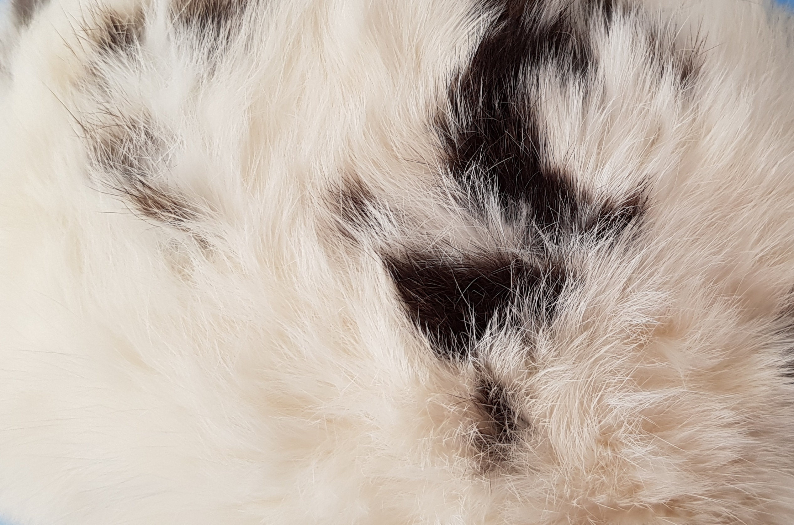 Vintage 8” Real Fur Hat 1950’s 1960’s Small Crème Tan Vintage Hat: Beautiful Vintage 1960s / 1970s White Cream and  main image 3