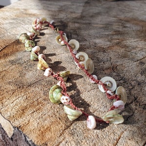Sweet Green Turbo Shells Necklace with Puka Shells image 2