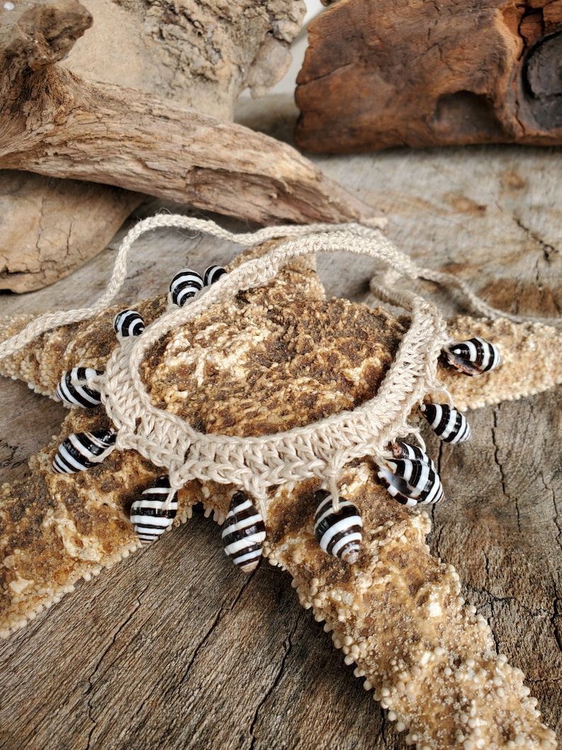 Natural ZEBRA Shells Choker or Necklace image 3