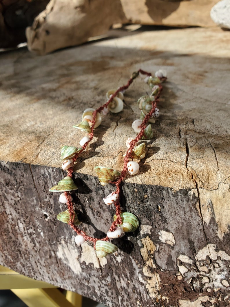 Sweet Green Turbo Shells Necklace with Puka Shells image 3