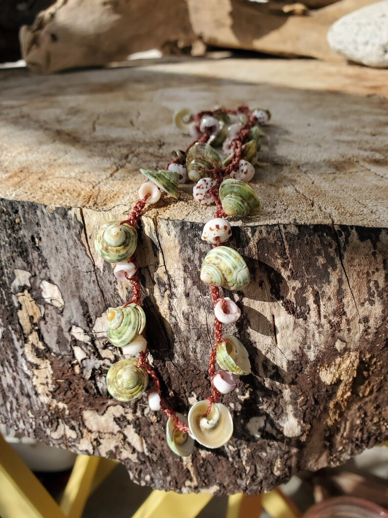 Sweet Green Turbo Shells Necklace with Puka Shells image 1