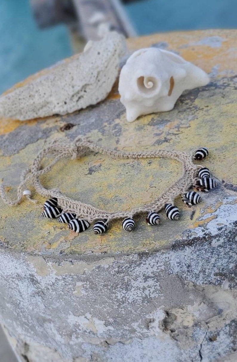 Natural ZEBRA Shells Choker or Necklace image 5