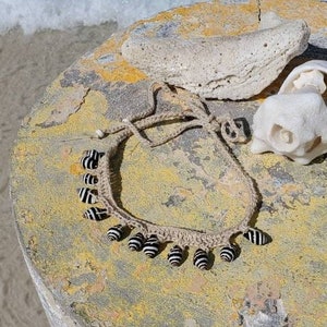 Natural ZEBRA Shells Choker or Necklace image 9