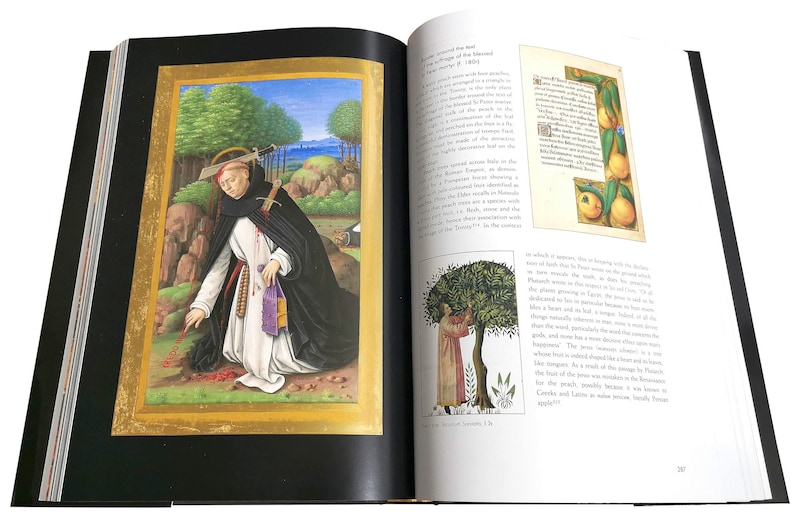 Puede incluir: Una p&aacute;gina de manuscrito iluminado medieval con dos ilustraciones. La primera muestra a un hombre con una t&uacute;nica negra arrodillado en el suelo con una espada y un rosario. La segunda ilustraci&oacute;n muestra a un hombre con una t&uacute;nica roja recogiendo fruta de un &aacute;rbol. El texto de la p&aacute;gina est&aacute; en lat&iacute;n.
