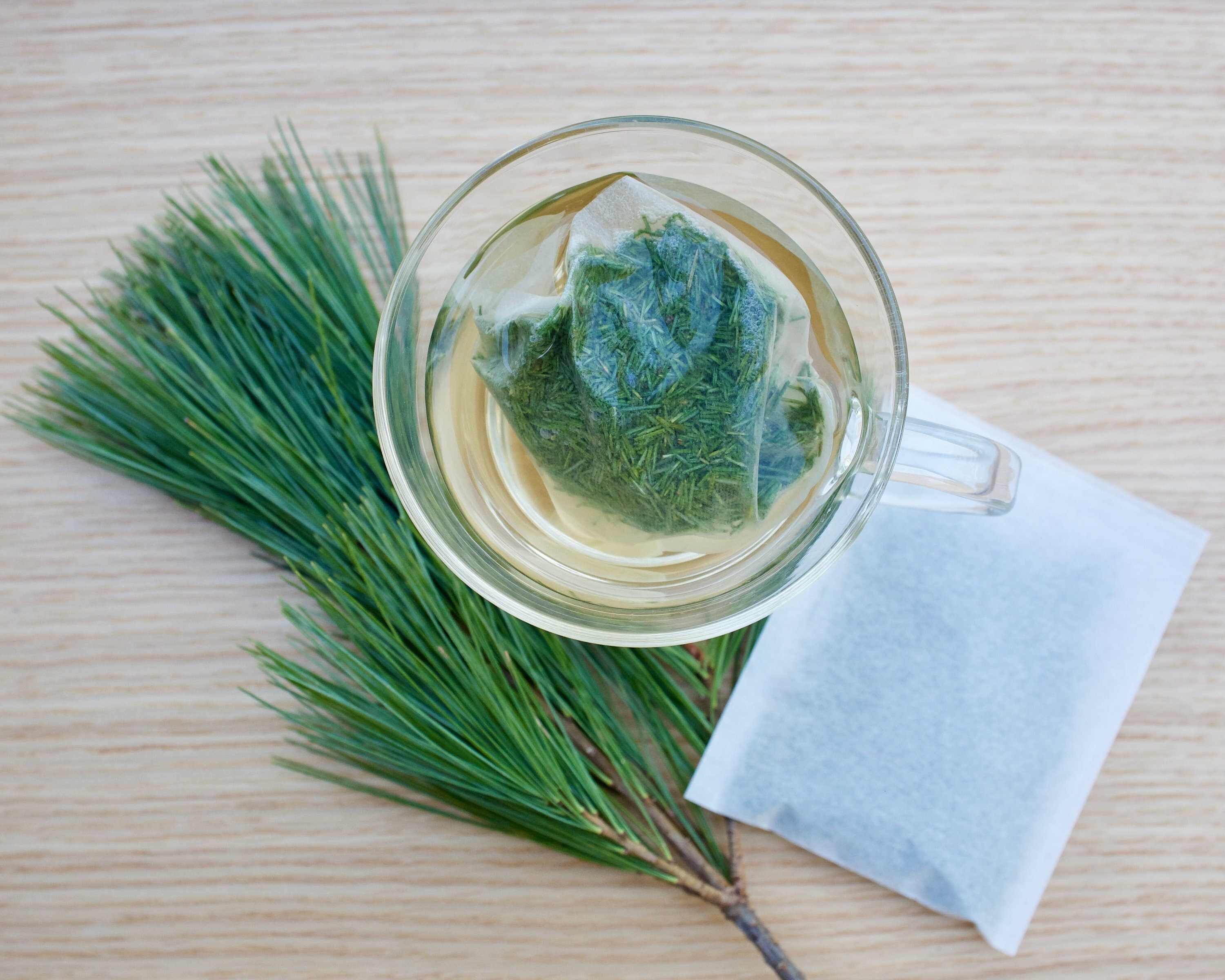 Pine Needle Tea TEA BAGS