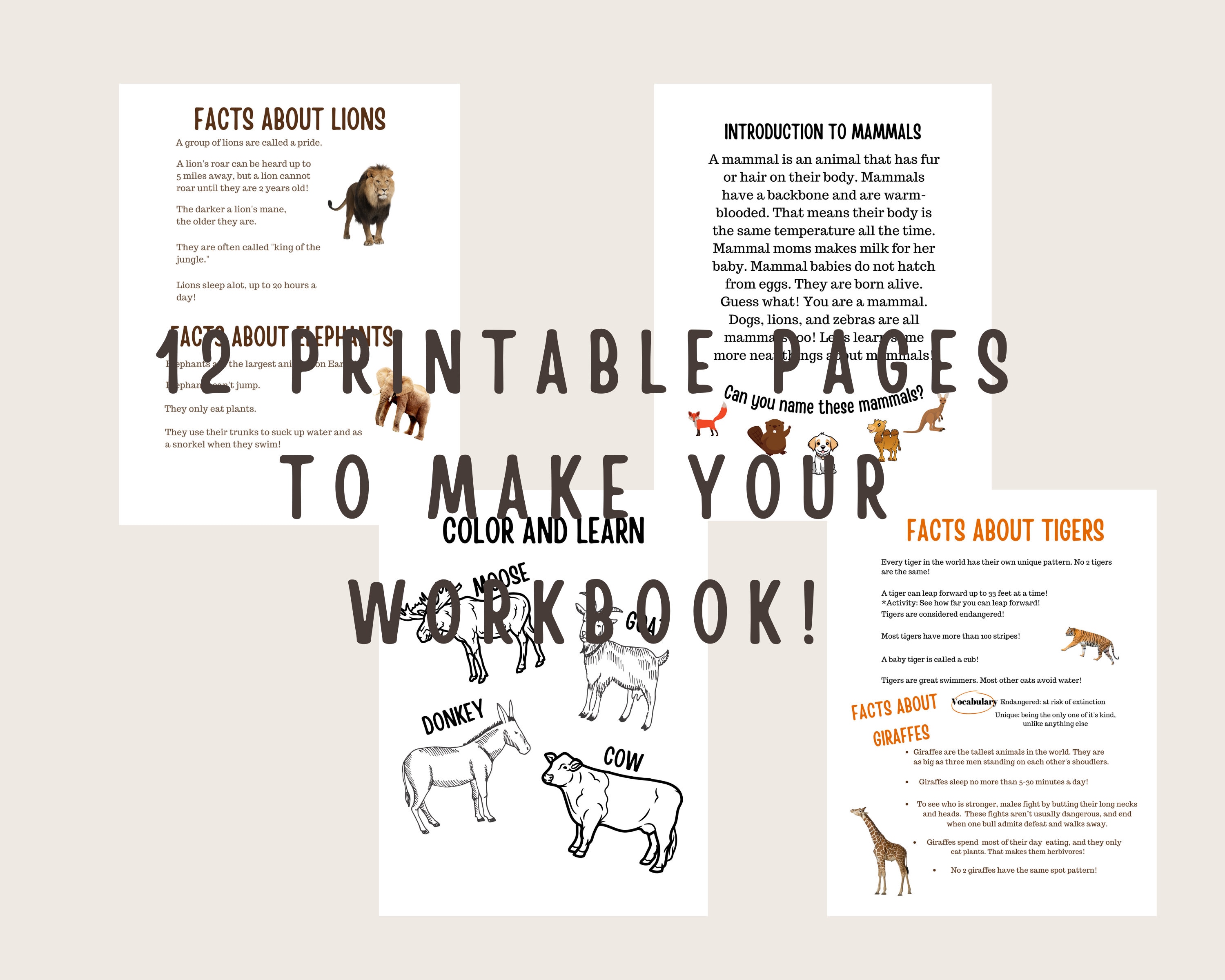 Mammal Study for Homeschool. Printable Mammal Unit Study. - Etsy