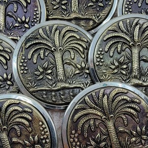 Vintage Palm Tree Brass Picture Button: Metal Shank, Tin Back