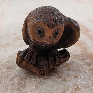 May include: A small, intricately carved wooden owl figurine. The owl has large, dark eyes and detailed feather textures. It is perched on a small wooden base, showcasing the craftsmanship of the carving. The owl is a warm brown color.