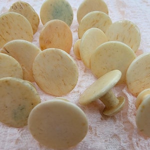 May include: A collection of 15 round, off-white, bone-like knobs with a smooth, slightly textured surface. Some knobs have a darker, cream-colored hue. The knobs have a small, round post on the back.